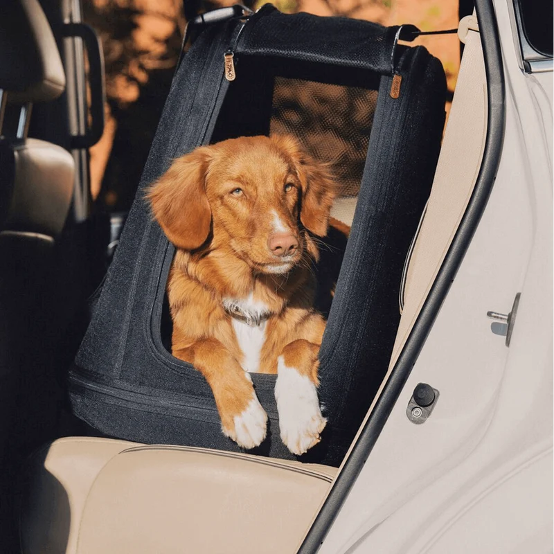 Tavo Pets Crispin Pet Travel Crate | Impact Tested | 3 Sizes