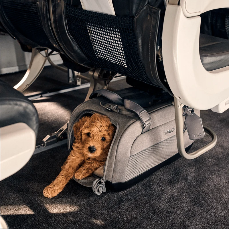 Tavo Pets Dupree II ISOFIX Pet Car Seat & Pet Carrier | Airline Carry-On
