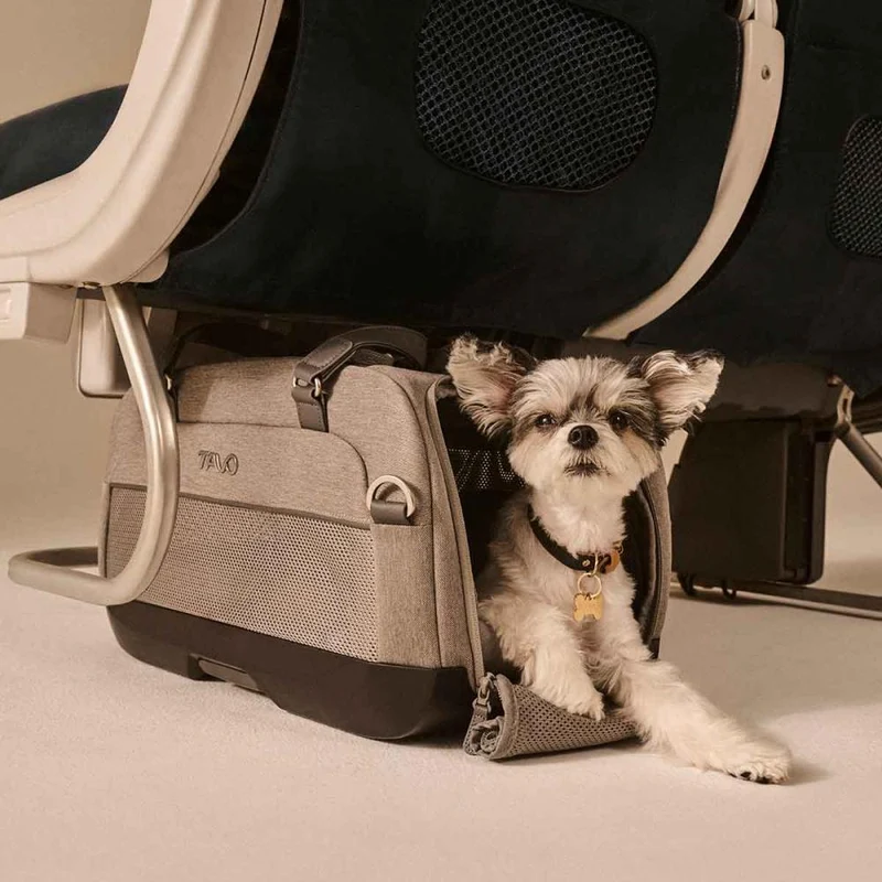 Tavo Pets Dupree II ISOFIX Pet Car Seat & Pet Carrier | Airline Carry-On