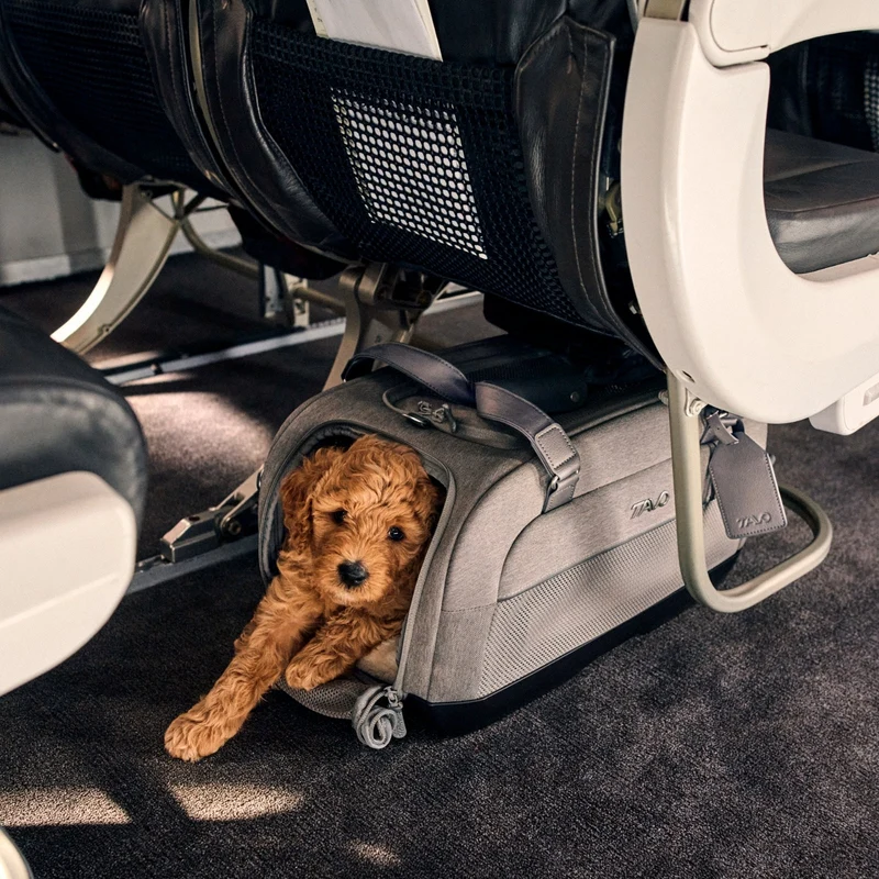 Tavo Pets Dupree II ISOFIX Pet Car Seat & Pet Carrier | Airline Carry-On