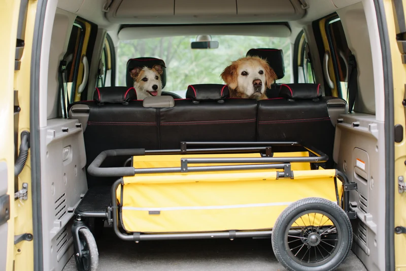 AirBuggy Cube Carriage Pet Cart | Integrated Ramp | Modular Roof