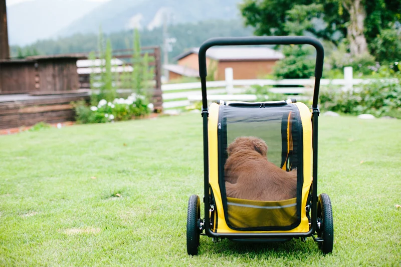 AirBuggy Cube Carriage Pet Cart | Integrated Ramp | Modular Roof