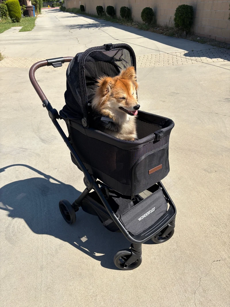 WonderFold P20 Bella Pet Stroller | AutoFold™ Technology