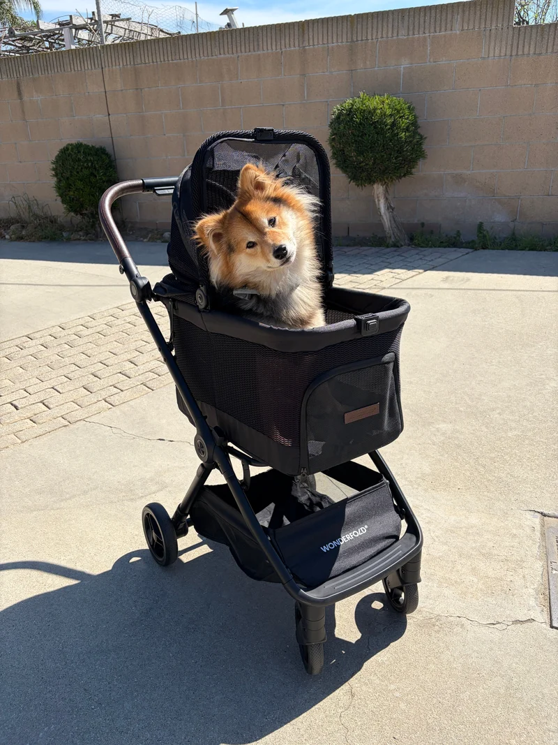 WonderFold P20 Bella Pet Stroller | AutoFold™ Technology