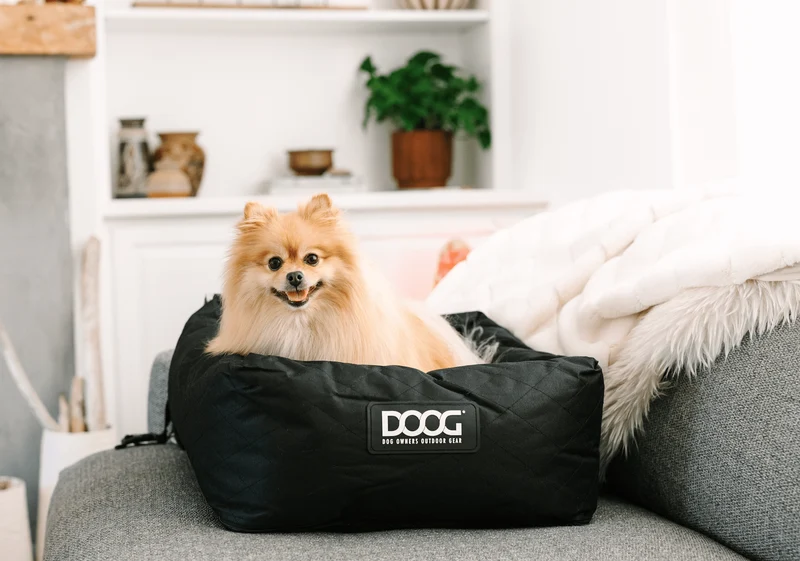 DOOG Dog Car Seat - Small to Medium | 2-in-1 Functionality