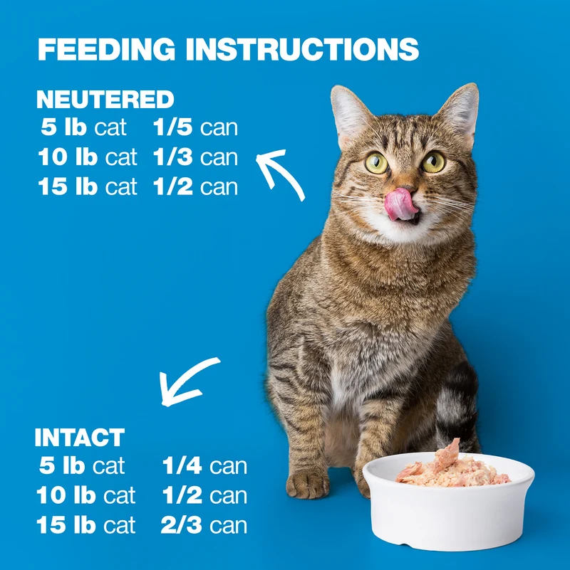 Natural Code 26 Tuna & Turkey In Jelly Wet Cat Food 85G
