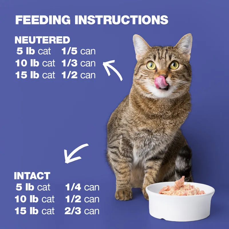 Natural Code Light 02 Tuna Sea Bream & Apple Wet Cat Food 70G