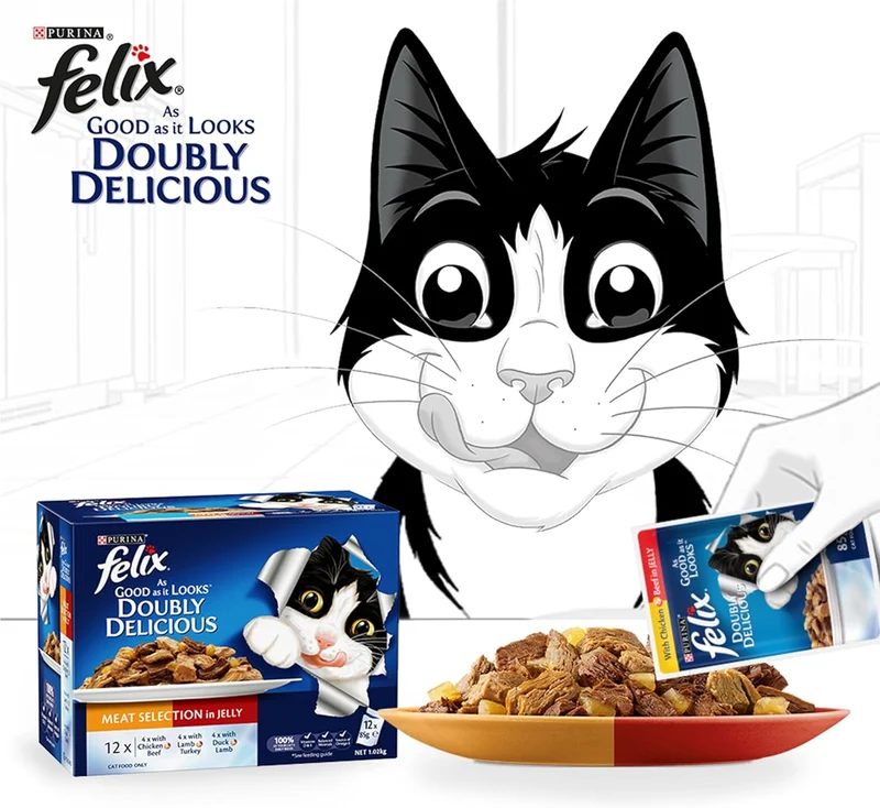 PURINA Felix Doubly Delicious Meaty Selection In Jelly Wet Cat Food 10+ 2FREE - 12X85G