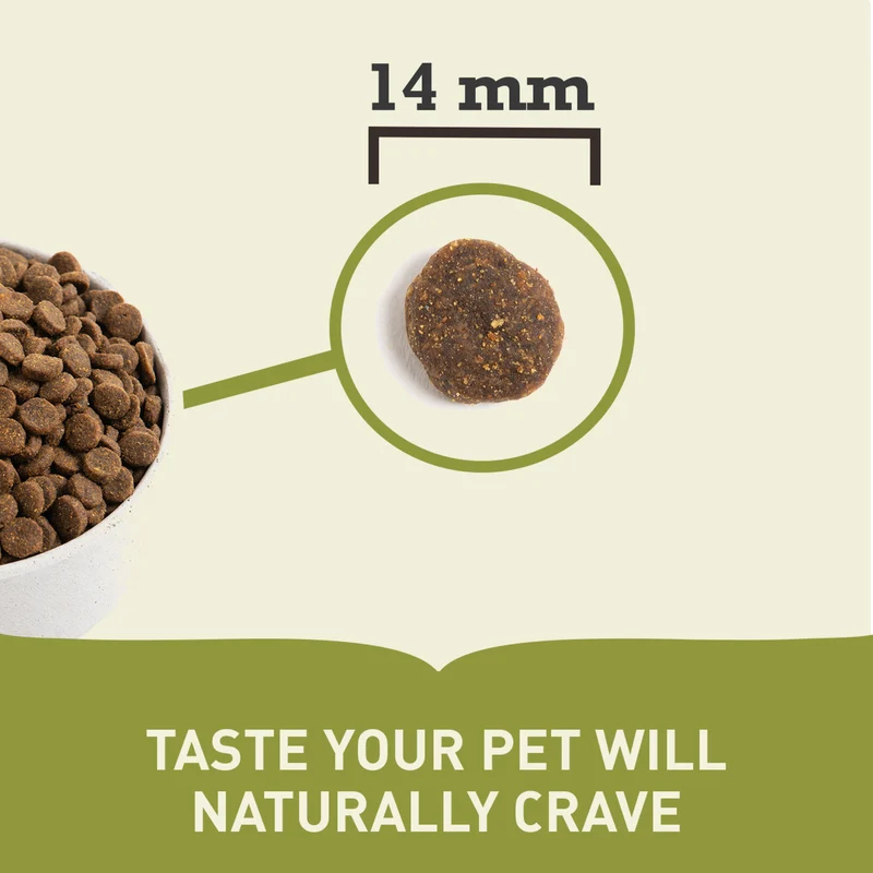 Acana Free Run Duck Recipe Protein-Rich Dry Dog Food 2Kg