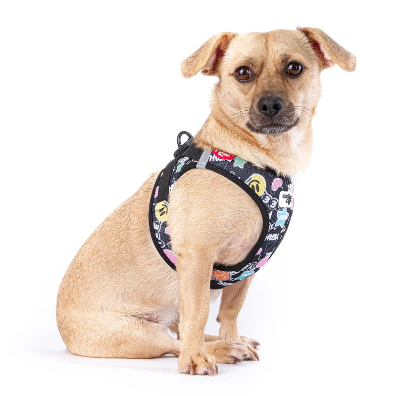 Curli Small Dog Vest Harness Clasp Air-Mesh Comic LE25