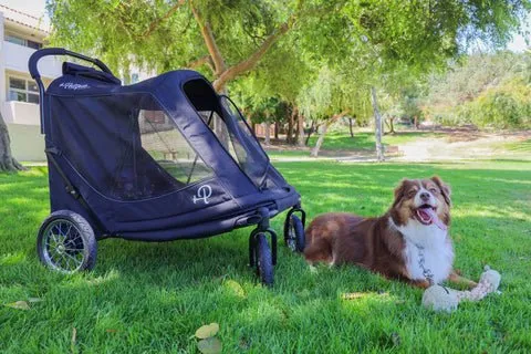 Petique Apollo Elite Rain Cover