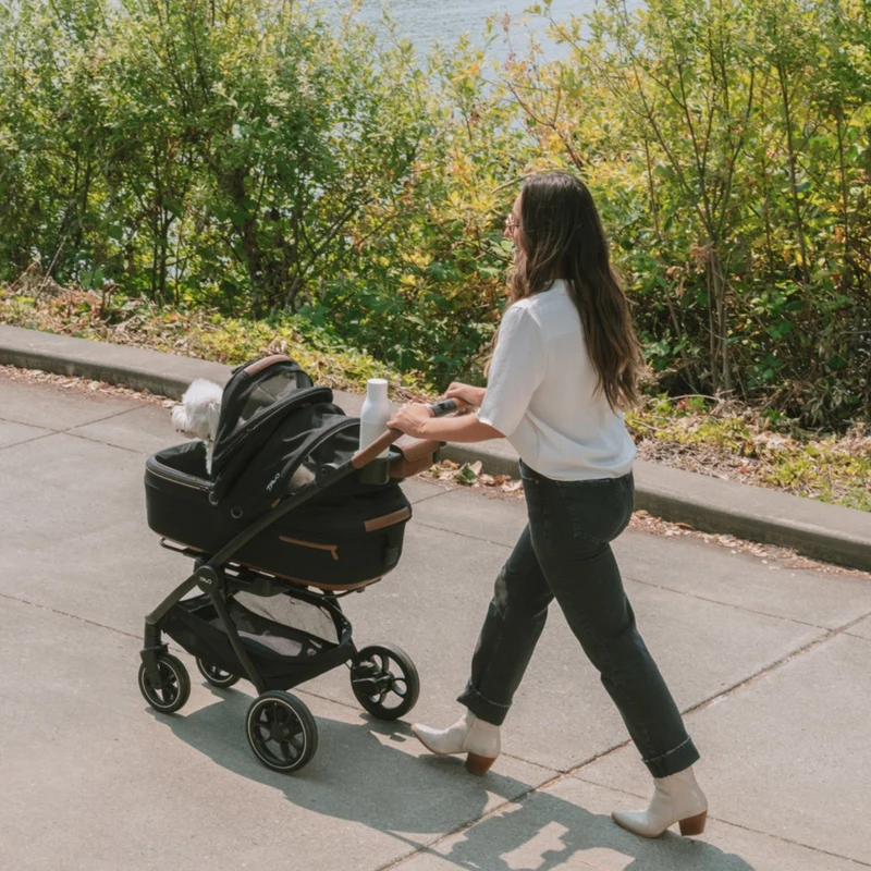Tavo Pets Roscoe™ Pet Stroller Frame