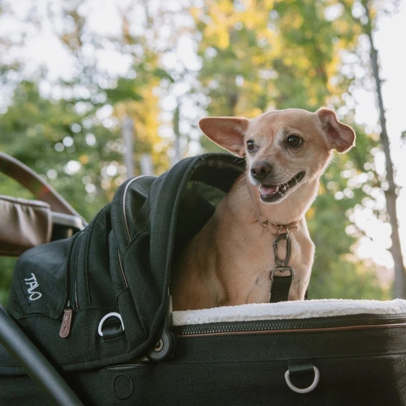 Tavo Pets Maeve Pet Car Seat Including Base | Side Impact Protection