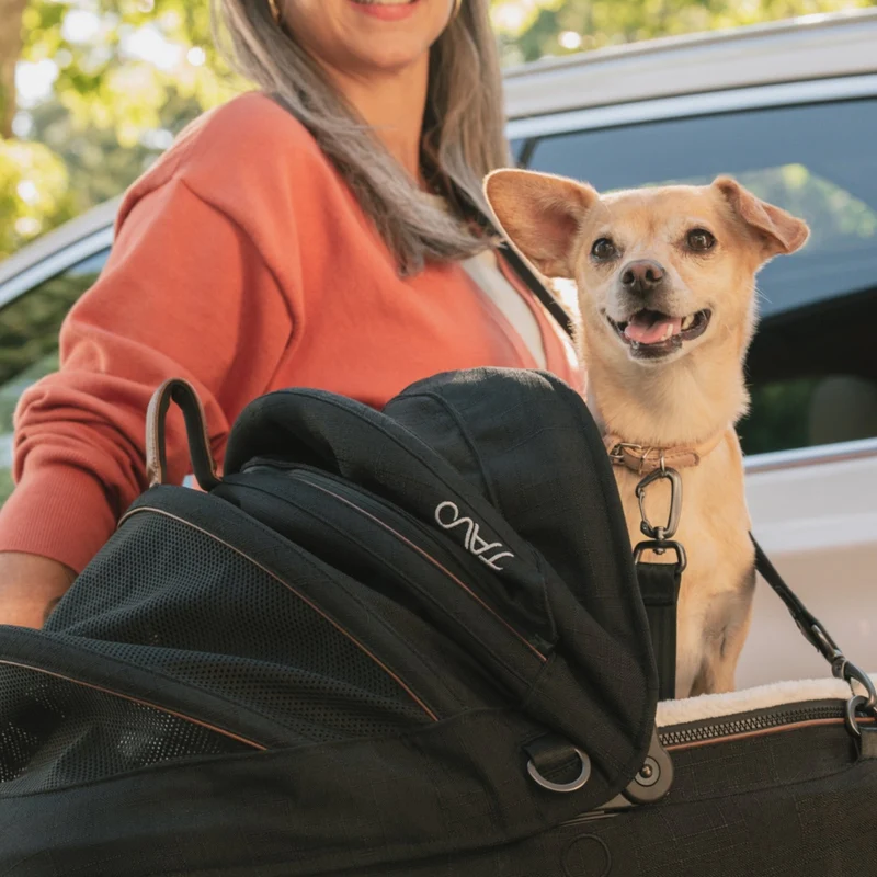 Tavo Pets Maeve Pet Car Seat Including Base | Side Impact Protection