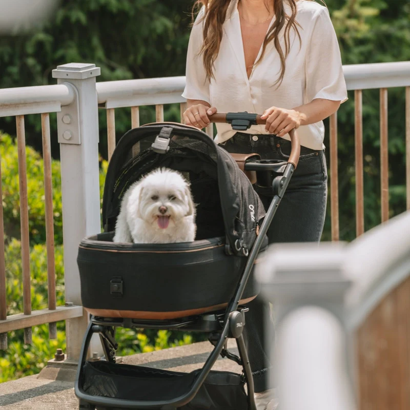 Tavo Pets Maeve Pet Car Seat Including Base | Side Impact Protection