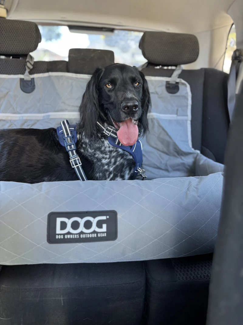 DOOG Dog Car Seat Restraint