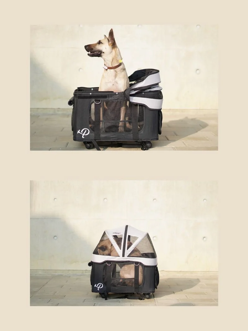Petique Dynamic 4-in-1 Pet Stroller Travel System