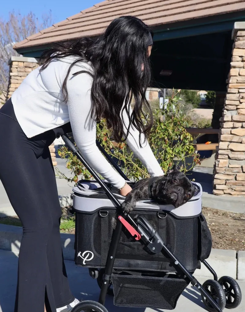 Petique Dynamic 4-in-1 Pet Stroller Travel System
