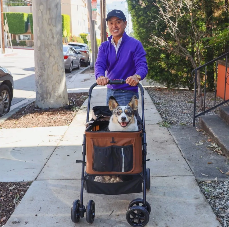 Petique Dynamic 4-in-1 Pet Stroller Travel System
