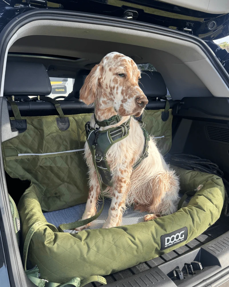 DOOG Dog Car Seat - Large