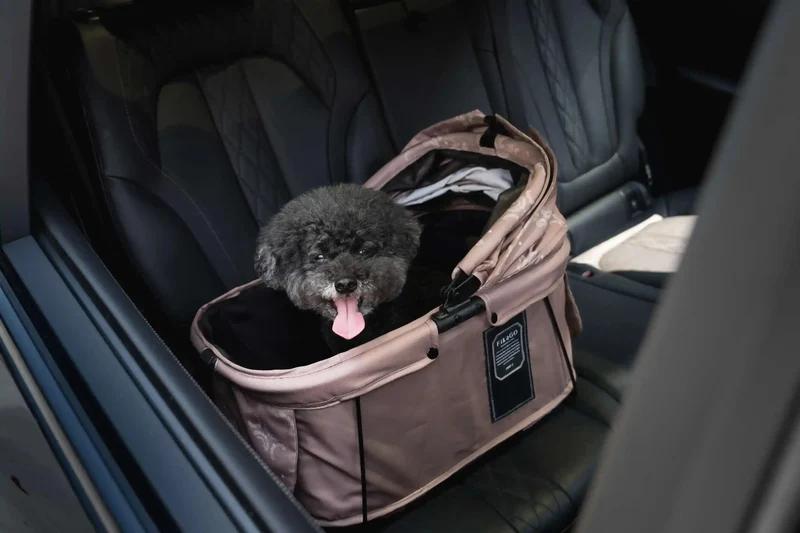 FikaGO Sway 2 Pet Carrier | 3-in-1 Car Seat & Stroller
