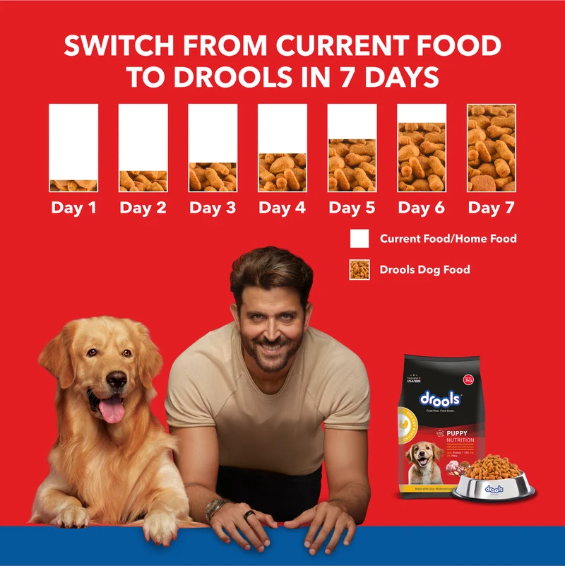 Drools Puppy Nutrition Chicken & Egg Puppy Dry Food 1.2Kg