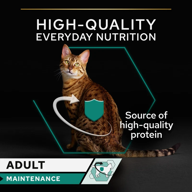 Purina Pro Plan Adult Maintenance Chicken Terrine Wet Cat Food 85G