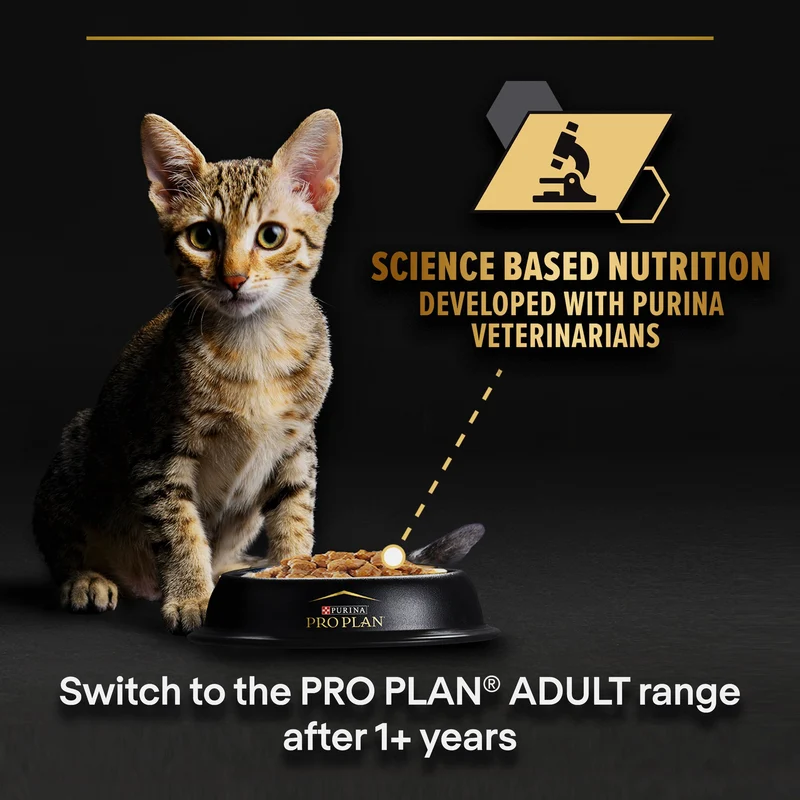 PURINA Pro Plan Turkey In Gravy Multipack Kitten Wet Cat Food 10X85G