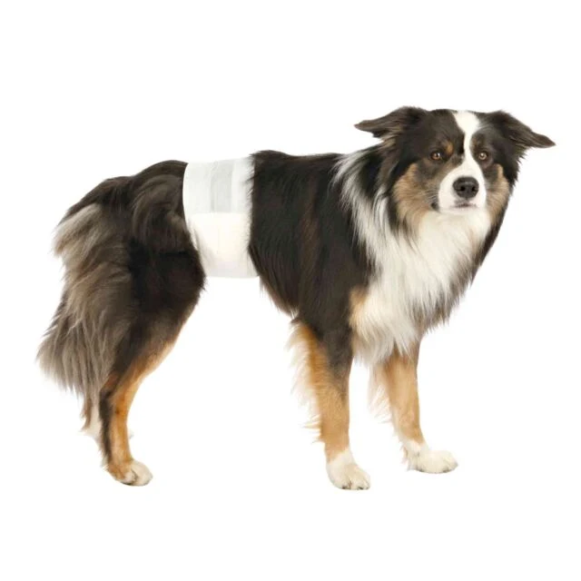 Trixie Diapers For Adult Male Dogs S-M 12pcs