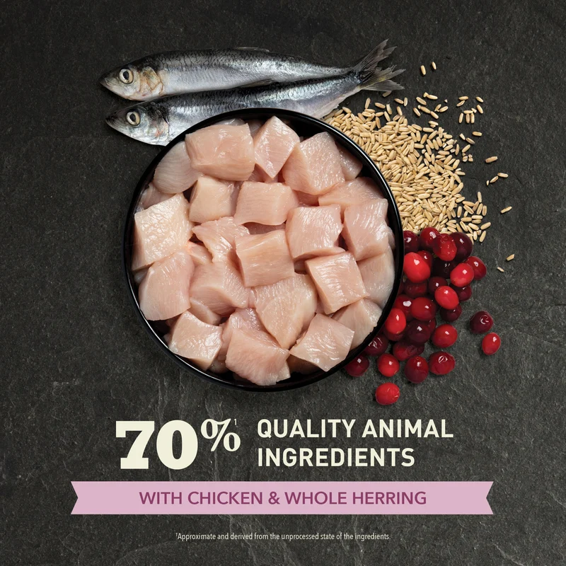 Acana First Feast Kitten Chicken With Herring Dry Cat Food