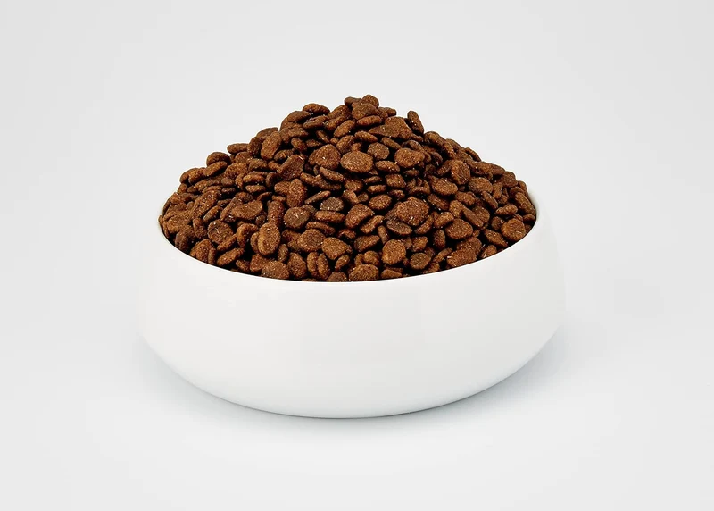 Acana Pacifica Highest-Protein Dry Cat Food