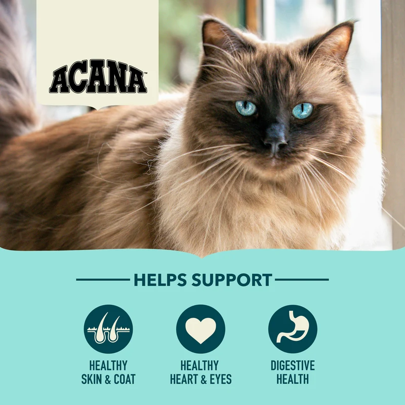 Acana Bountiful Catch Salmon With Whole Herring Adult Dry Cat Food