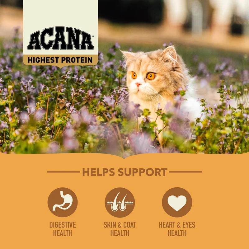 Acana Highest Protein Wild Prairie Recipe Dry Cat Food