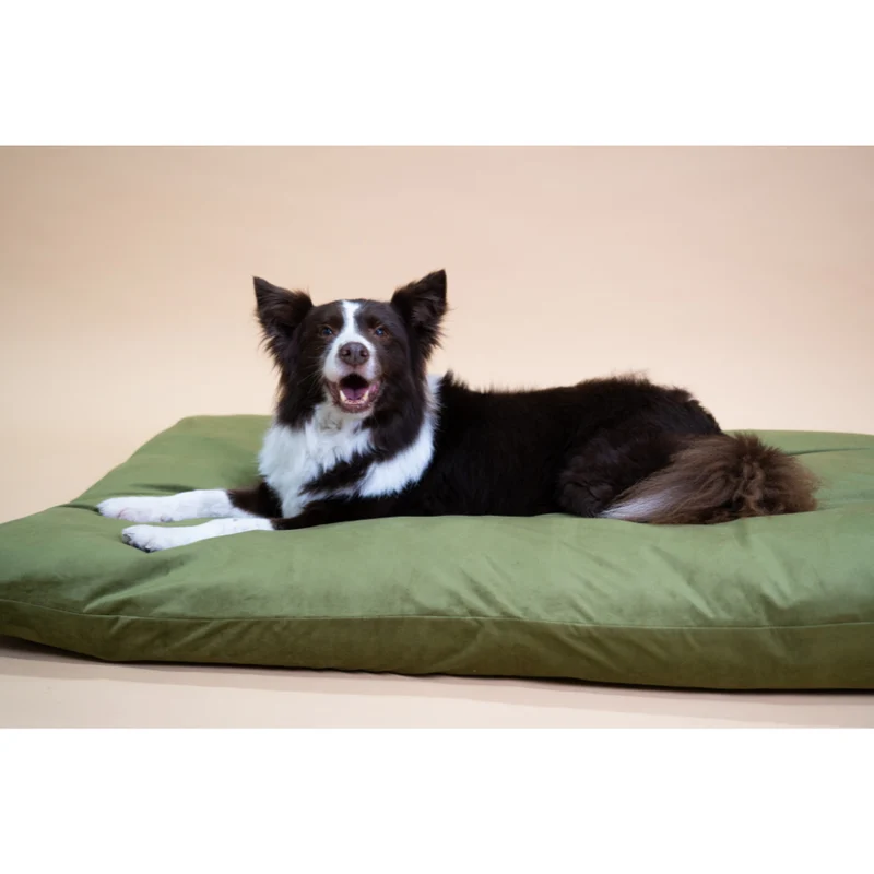 Regalia Velvet Deep Duvet Non-Slip Dog Bed - Green/Large