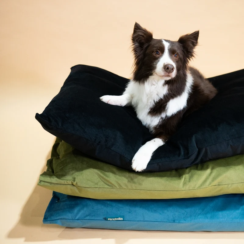 Regalia Velvet Deep Duvet Non-Slip Dog Bed - Black/Large