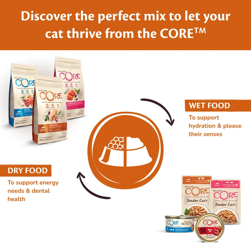 Wellness Core Sterilised Original With Chicken & Turkey Adult Dry Cat Food 1.75KG