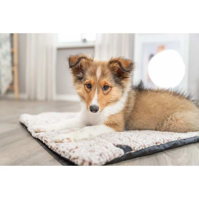 Trixie Calida Lying Mat with Heat Reflecting Inlay for Dogs - CREAM/100X65CM