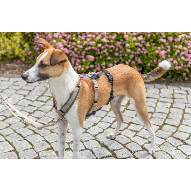 Trixie Panic Adapter Stay for Dog Harnesses - BLACK/M-L