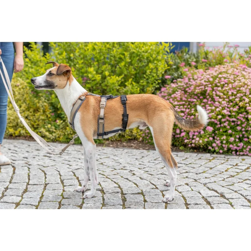Trixie Panic Adapter Stay for Dog Harnesses - BLACK/M-L