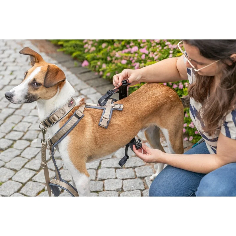 Trixie Panic Adapter Stay for Dog Harnesses - BLACK/M-L