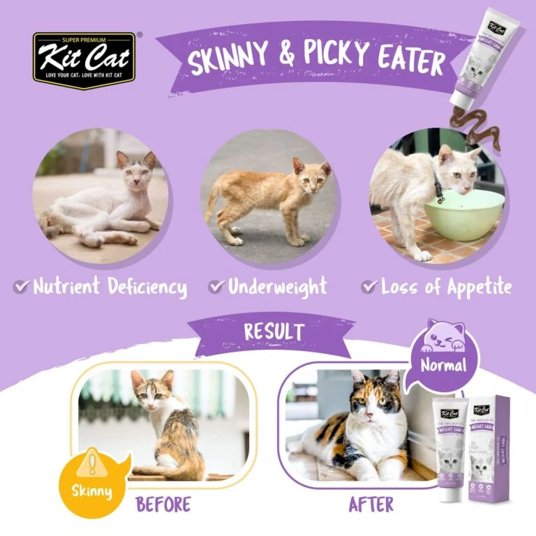 Kit Cat Daily Nutritional Supplement Gel Weight Gain for Cats & Kittens 120G