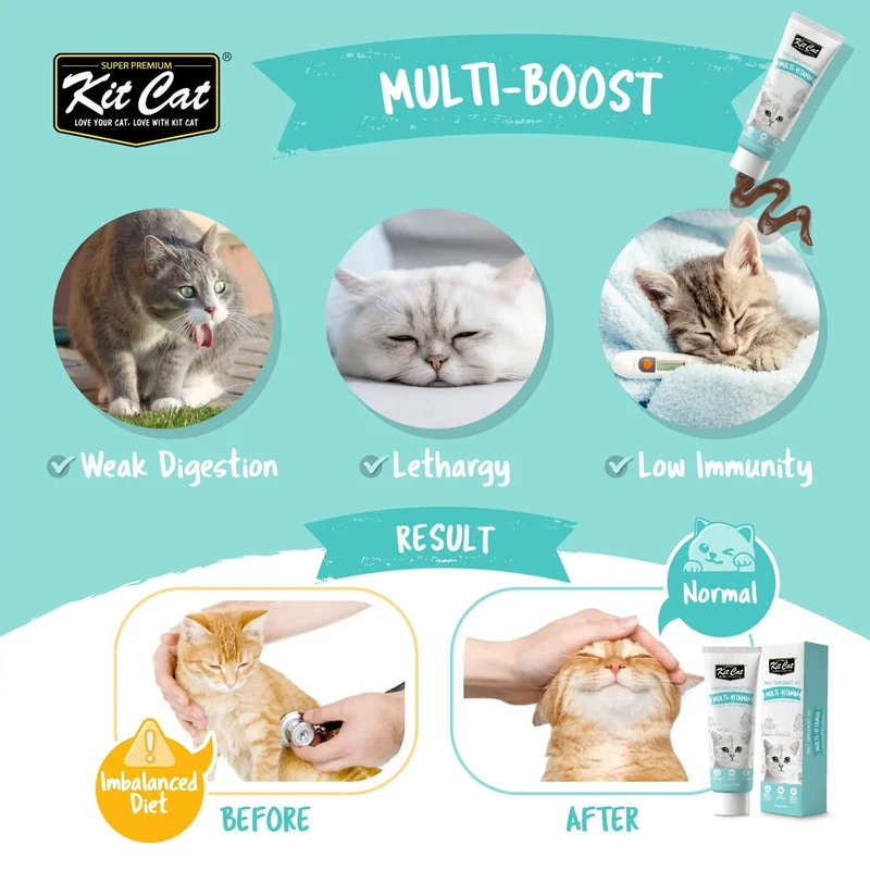Kit Cat Daily Nutritional Supplement Gel Multi-Vitamins for Cats & Kittens 120G