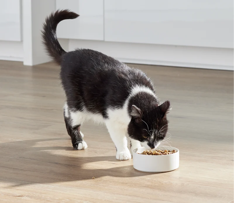 Open Farm RawMix Open Prairie Recipe Dry Cat Food - 1KG
