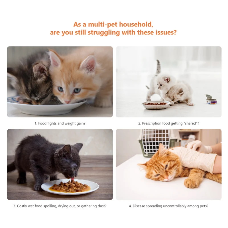 Petoneer NutriCare Cat Smart Feeder PF009