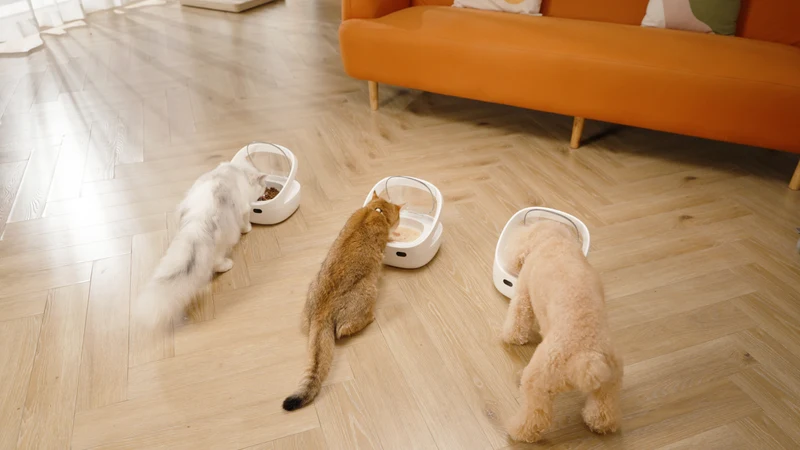 Petoneer NutriCare Cat Smart Feeder PF009