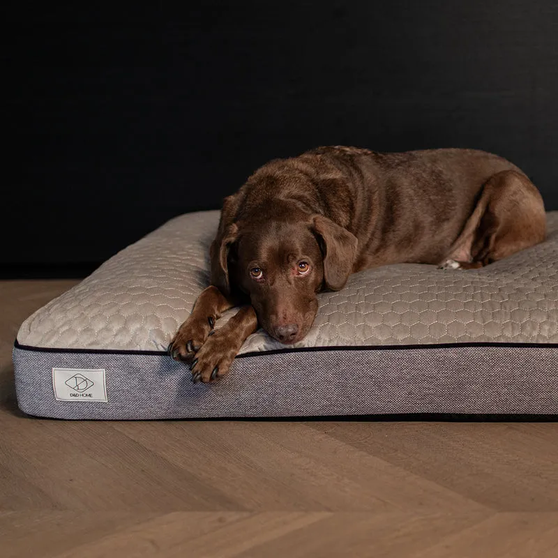 D&D Celia Ergonomic Cushion Non-slip Bottom Bed for Dogs