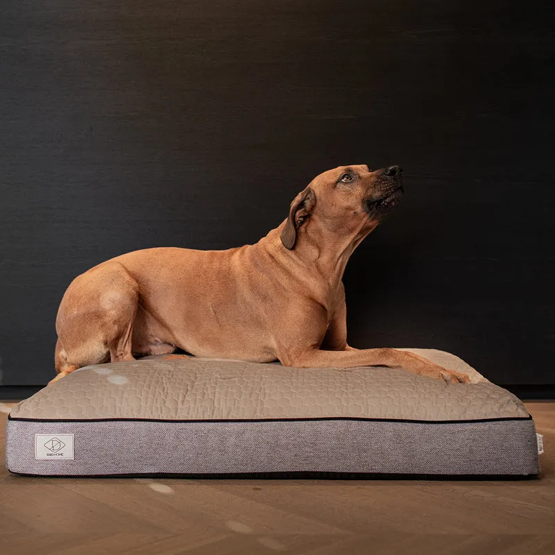 D&D Celia Ergonomic Cushion Non-slip Bottom Bed for Dogs