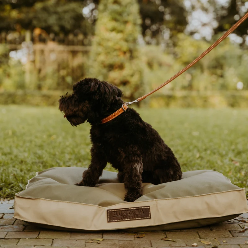 Huntlea Leopard Leather Dog Lead