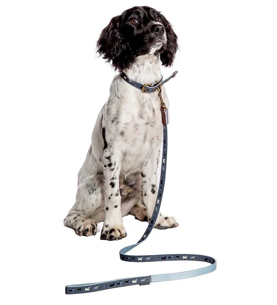 Danish Design FatFace Marching Dog Lead With Metal Buckles