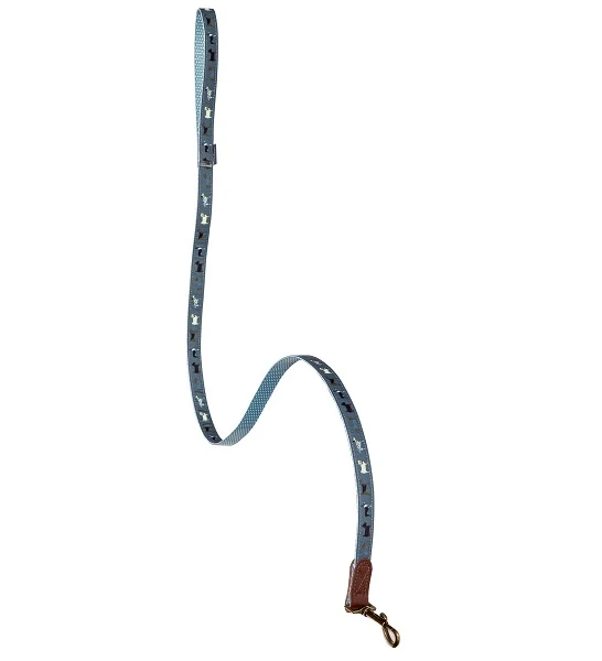 Danish Design FatFace Marching Dog Lead With Metal Buckles